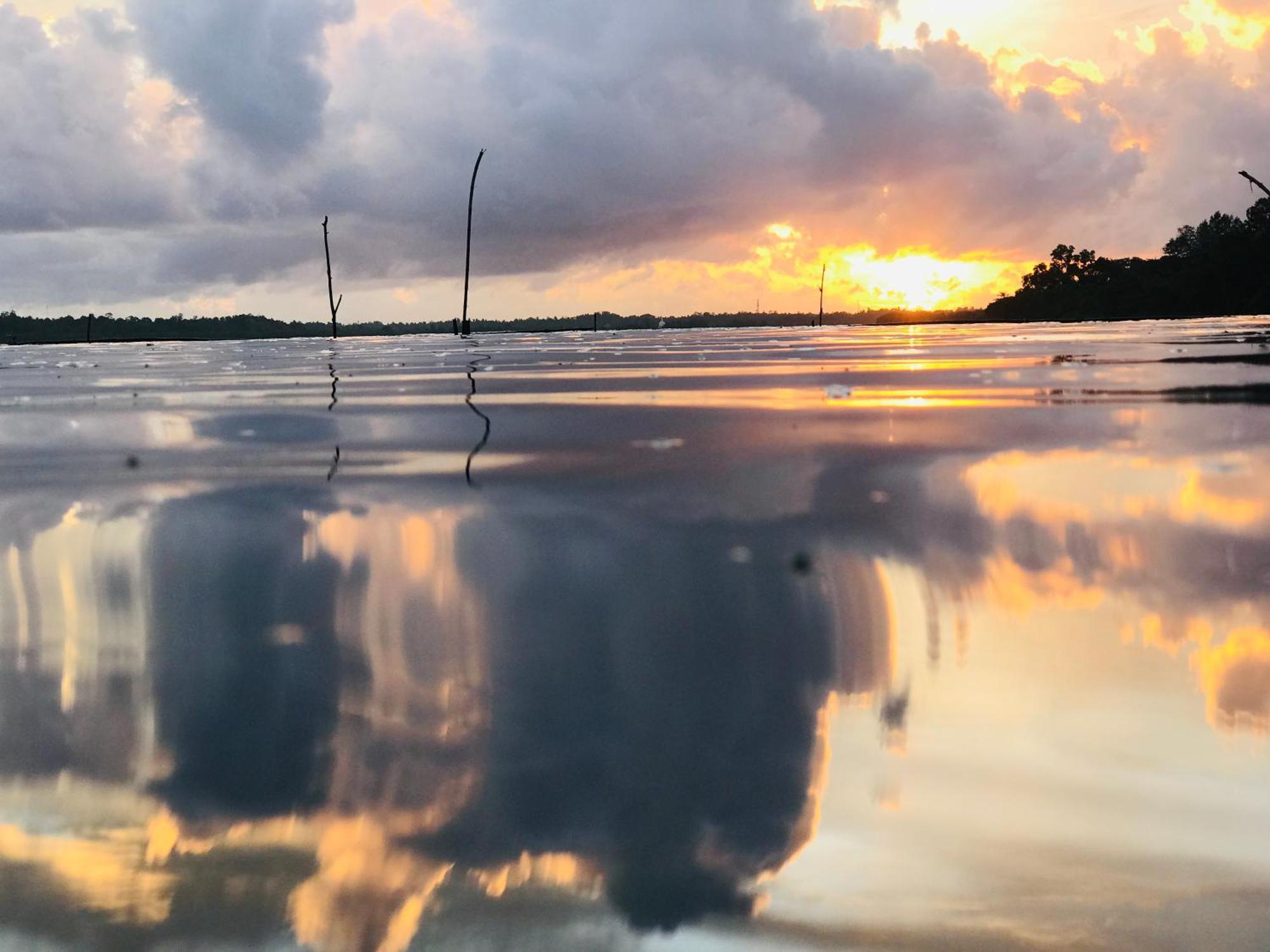 Lake Resort Bolgoda ワドゥワ エクステリア 写真